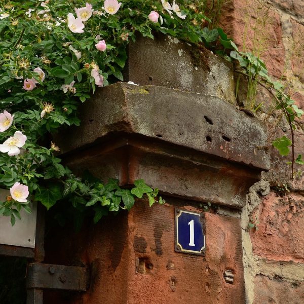 dog roses, wall, post, masonry, stone, entrance, overgrown, house number street, number, one